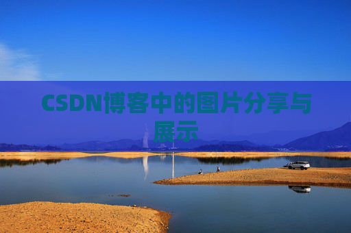 CSDN博客中的图片分享与展示